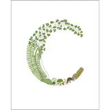 8x10-inch Forest Letter C Art Print