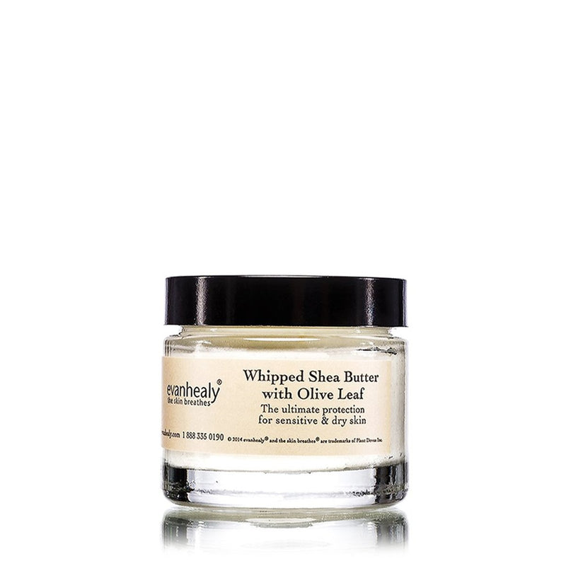 evanhealy Whipped Shea Butter with Olive Leaf | 1.9 OZ/55ML