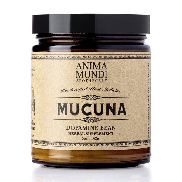 Mucuna is known for its principle ingredient: L-Dopa, a naturally occurring amino acid which transforms into Dopamine in the brain. Dopamine is a neurotransmitter which allows the dynamic functioning of the brain. Higher levels of Dopamine have been linked with a feeling of joy and bliss as well as providing good sleep and balanced hormone function. Mucuna has a reputation for lifting mood and enhancing sexual function. 