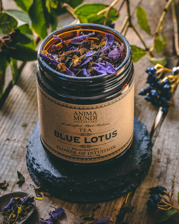 Blue Lotus/Flower of Intuition Tea